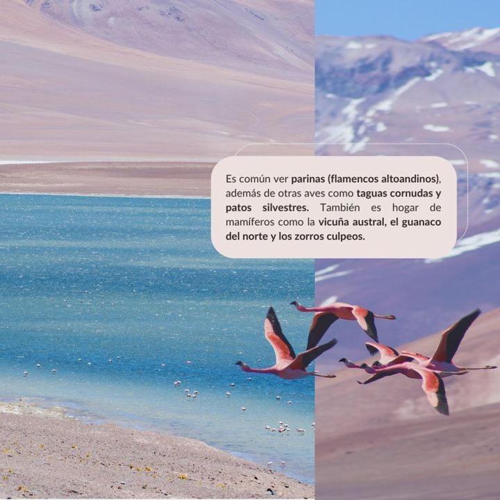Refugio El Volcan